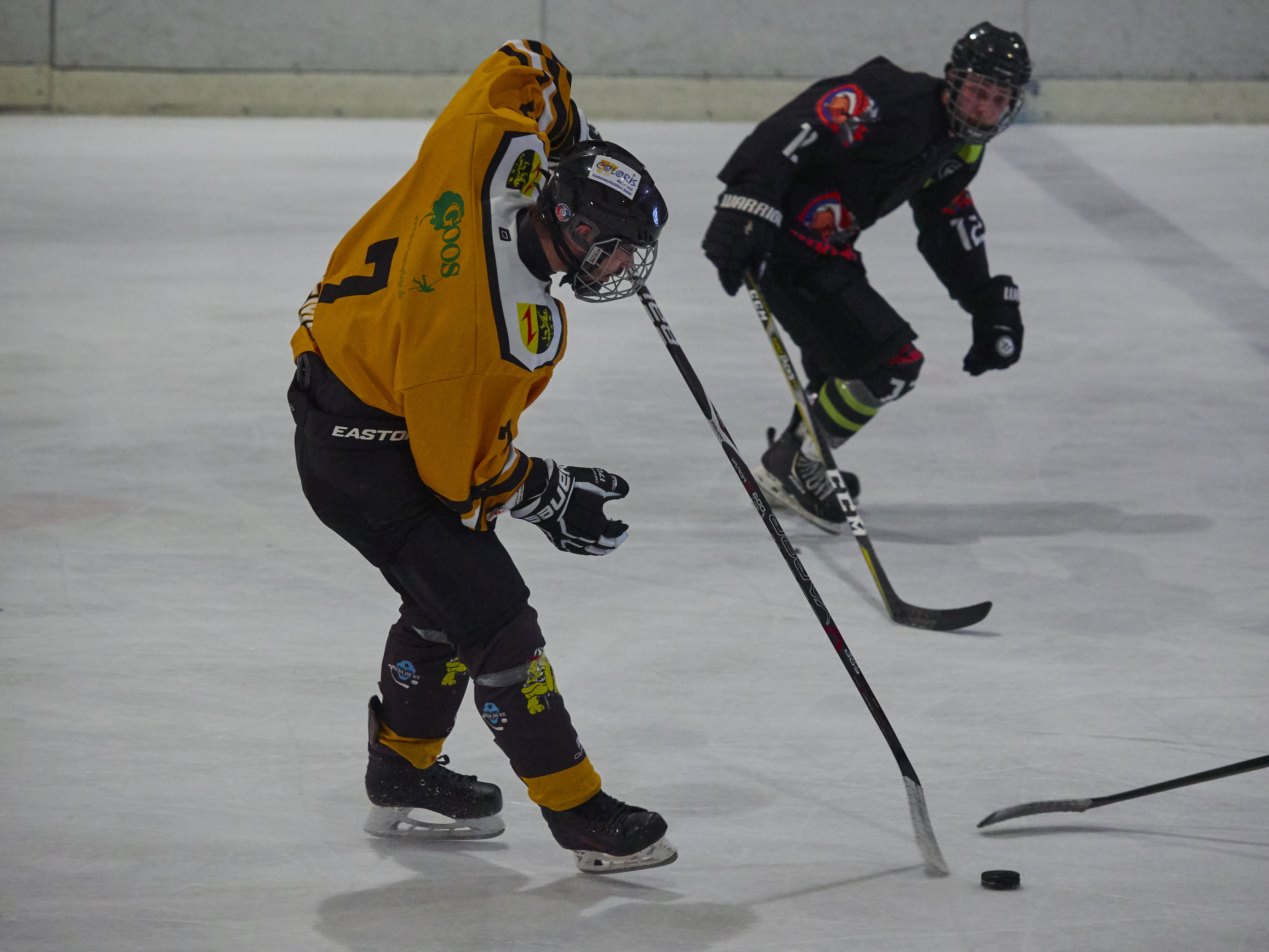 DPL Finale 2018 P4081106